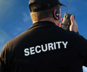 What is the role of a security service?
